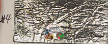 Load image into Gallery viewer, **Pre-Order #19: 14 Week TAT**  Fairy Wings Vinyl 18&quot;x52&quot;
